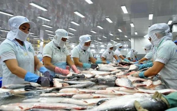 Tra fish enjoys impressive export growth -0