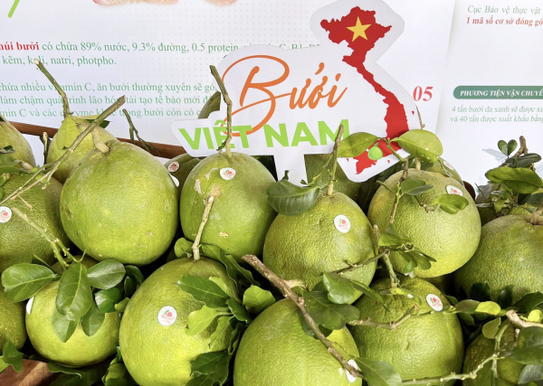 Xuất khẩu lô bưởi Việt Nam đầu tiên vào thị trường Hoa Kỳ -0