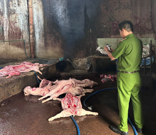 Phát hiện ổ dịch tả lợn châu Phi tại trọng điểm chăn nuôi Đồng Nai  -0