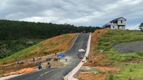 Thanh tra phát hiện sai phạm hơn 8.300ha đất ở Tây Nguyên -0