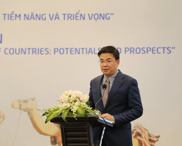 Thúc đẩy tiềm năng hợp tác du lịch Việt Nam và các nước Vùng Vịnh -0