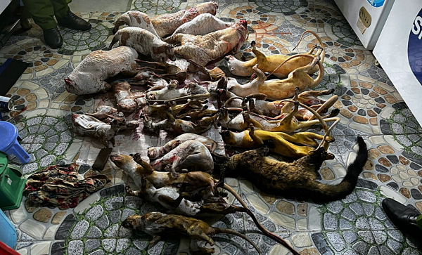 Trữ lượng lớn động vật hoang dã để bán Tết -0