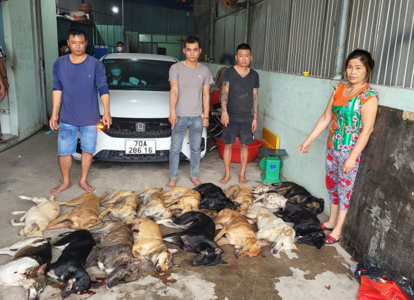 Phát hiện 1,4 tấn thịt chó nghi thu mua từ các đối tượng trộm chó -0