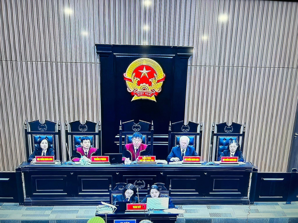 Nhiều nhân chứng vắng mặt trong phiên tòa xét xử bị cáo Nguyễn Thị Thanh Nhàn và đồng phạm -0