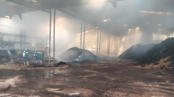 Cháy xưởng sản xuất viên nén gỗ rộng 3.000m2 ở Bình Phước -0