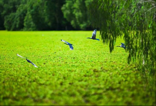 Hệ giá trị được phái sinh từ tư duy của nhà đầu tư -0