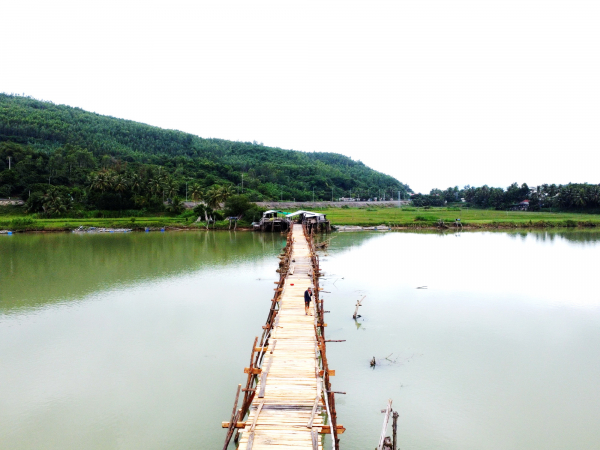                 Dựng lại cầu gỗ Ông Cọp dài nhất Việt Nam -0
