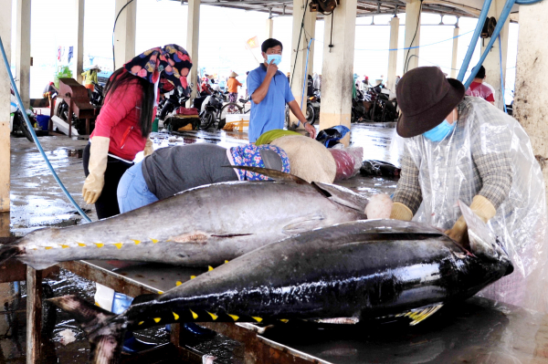      Ngư dân Nam Trung bộ vươn khơi bám biển xuyên Tết -0