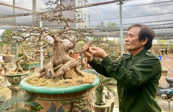 Largest apricot town in central Vietnam busy for Tet -0