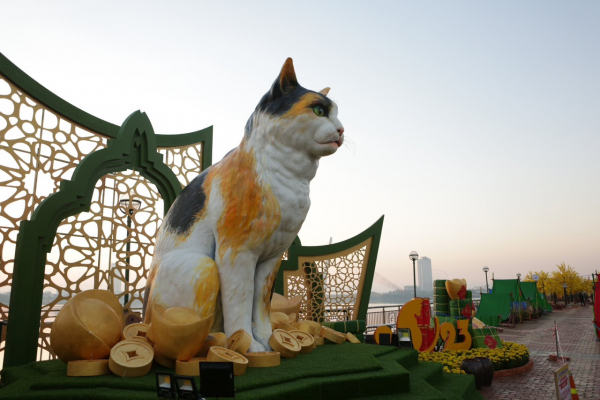 Sau kéo dài thời gian cho đường hoa xuân, Đà Nẵng tiếp tục tặng linh vật mèo các điểm trường vùng xa  -1