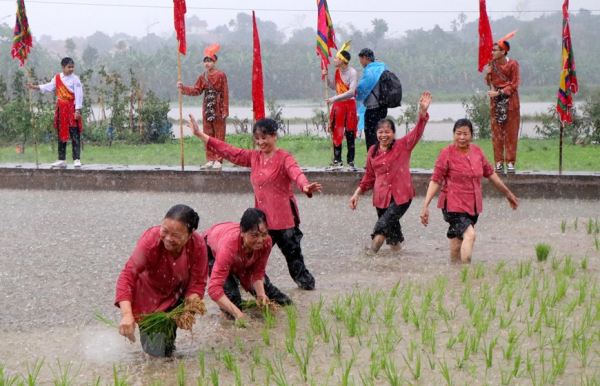 Festival commemorates Hung Kings’ teaching of rice cultivation -0