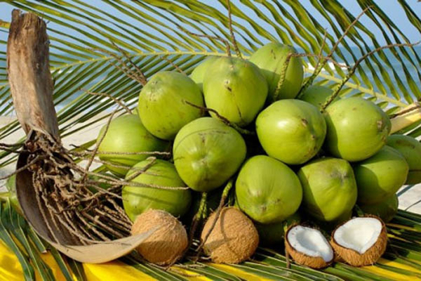 Coconut exports likely to reach US$1 billion this year -0