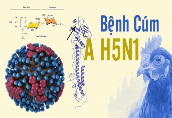 Viện Pasteur TP Hồ Chí Minh đề nghị triển khai gấp biện pháp phòng cúm H5N1 -0