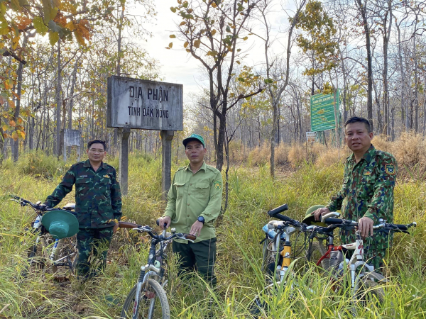 Ngắm vẻ đẹp hút hồn của rừng khộp mùa thay lá -0