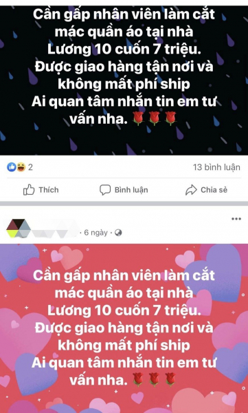 Dùng chiêu bán cây cảnh, tuyển nhân viên “cắt tem quần áo” để chiếm đoạt hàng trăm triệu đồng -0