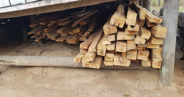 Thu hồi toàn bộ gỗ vi phạm trong vụ khai thác trái phép 149 cây gỗ -1
