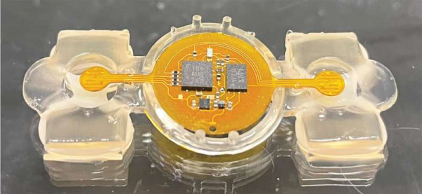 Vi điện tử cung cấp điều khiển từ xa cho robot sinh học -0