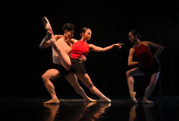 Tranh Đông Hồ lên sân khấu ballet -0