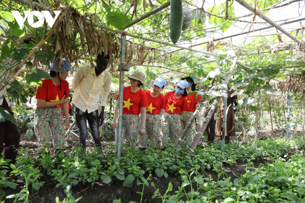 Vietnamese women contribute to national development, global peace -0