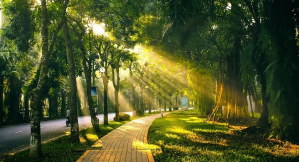 Cả nước trời nắng, Hà Nội ấm áp -0