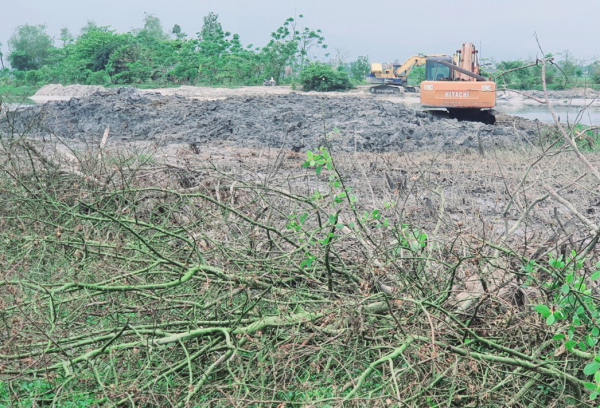 Vụ san ủi rừng ngập mặn ở Huế: Đình chỉ thi công dự án -0