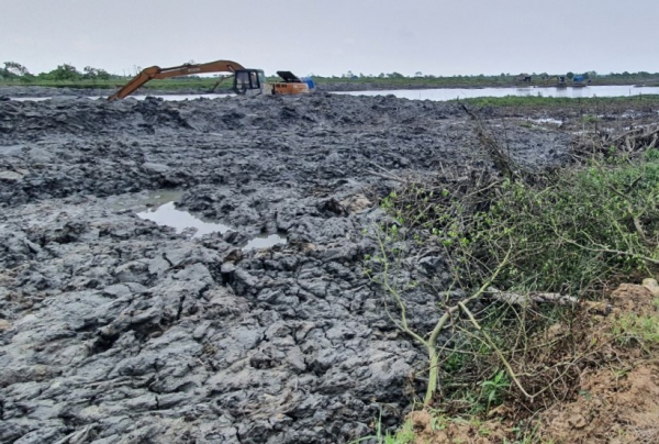 Vụ san ủi rừng ngập mặn ở Huế: Đình chỉ thi công dự án -0