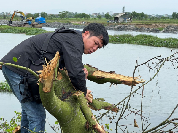 Vụ san ủi rừng ngập mặn ở Huế: Doanh nghiệp thừa nhận “sơ suất” trong thi công  -0