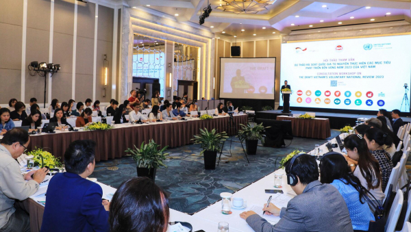 Việt Nam cam kết mạnh mẽ để đạt được các mục tiêu phát triển bền vững -0