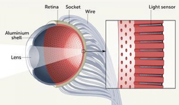 Mắt nhân tạo hoạt động như mắt người -0