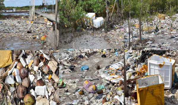 Bờ biển TP Bạc Liêu tràn ngập rác thải -0
