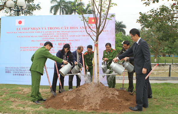 Tiếp nhận 15 cây hoa anh đào do Đại sứ quán Nhật Bản tại Việt Nam trao tặng -1