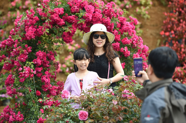 Sun World Fansipan Legend tổ chức Lễ hội hoa hồng dịp 30/4 -0