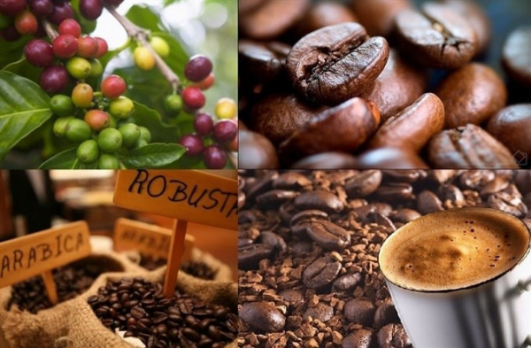 Coffee exports to Indonesia, Russia, and Algeria see triple-digit growth -0