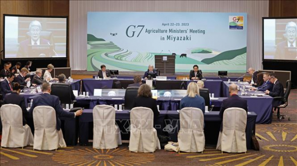 G7 họp bàn tìm cách đảm bảo an ninh lương thực -0