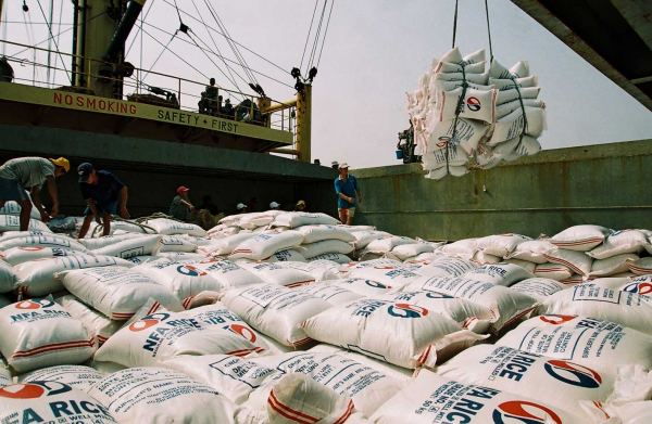 Rice exports maintain growth momentum -0