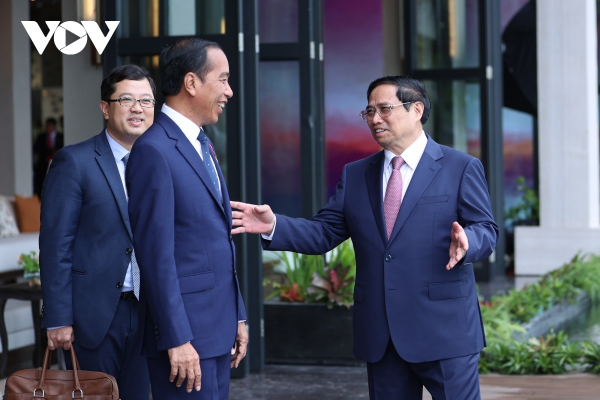 Indonesia, Vietnam aspire to further promote strategic partnership -0