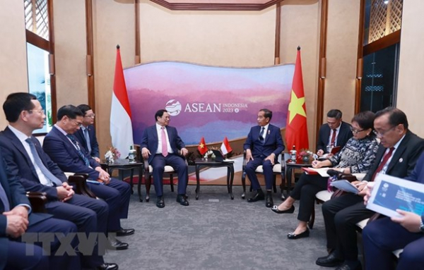 Việt Nam thúc đẩy hơn nữa quan hệ đối tác chiến lược với Indonesia -0