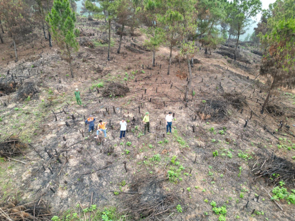 Kiểm điểm các đơn vị liên quan vụ đốt thực bì làm cháy rừng tại xã Thanh Sơn, TX Nghi Sơn -0