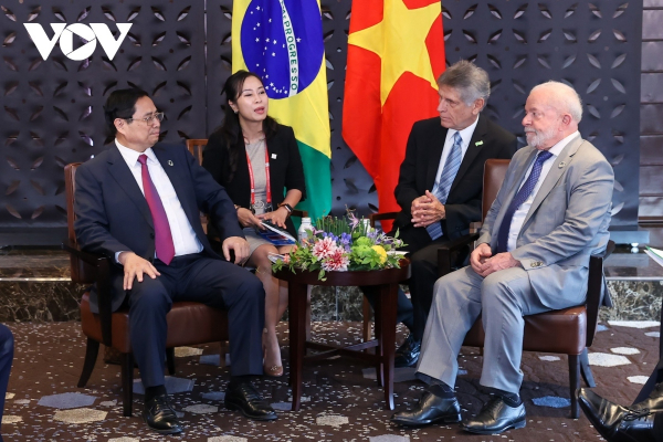 Vietnamese cabinet leader meets with Presidents of Brazil, Ukraine -0