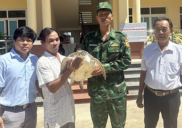 Thả rùa biển quý hiếm nặng 8,5kg về tự nhiên -0