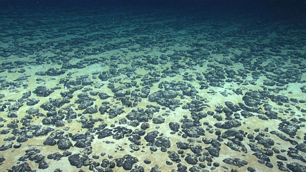 Khai khoáng đáy biển sâu: Cần lắm những bước đi thận trọng! -0