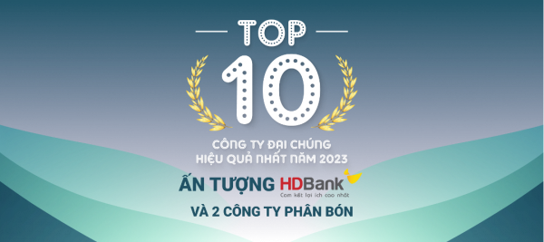 TOP 10 công ty đại chúng hiệu quả nhất năm 2023:  Ấn tượng HDBank, Đạm Phú Mỹ và Hóa dầu Đức Giang -0