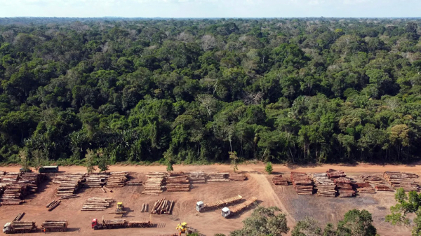 Cuộc chiến “giải cứu” rừng Amazon: Hy vọng mang tên Lula -0