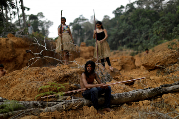 Cuộc chiến “giải cứu” rừng Amazon: Hy vọng mang tên Lula -0