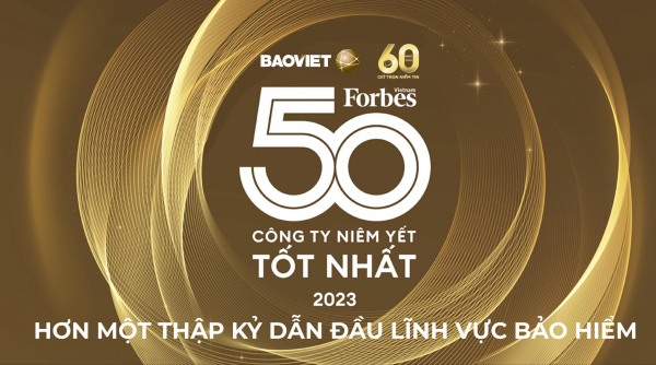 Bảo Việt - hơn một thập kỷ liên tục đứng đầu ngành bảo hiểm -0