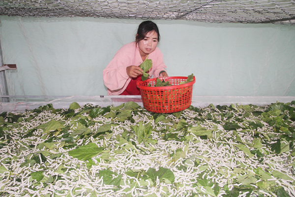 Giúp đồng bào vươn lên làm giàu -0