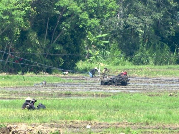 Vụ tấn công tại Đắk Lắk: Cuộc sống ở Cư Kuin đã bình yên trở lại -0