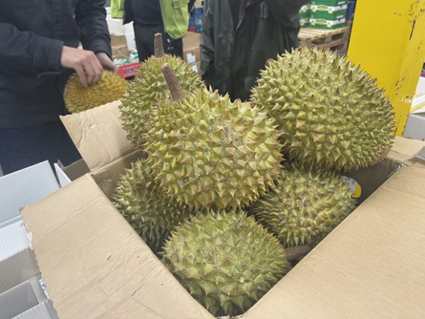 Vietnamese durian proves popular among UK market -0