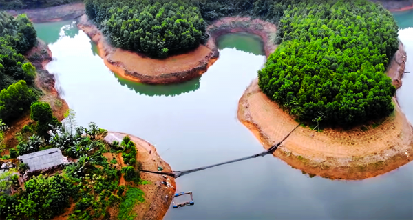 Cá ngoại lai nguy hiểm ở hồ Thác Bà -0