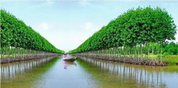 Cà Mau tăng trưởng kinh tế đứng thứ 2 vùng Đồng bằng sông Cửu Long -0